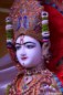 HariJayanti_84.JPG